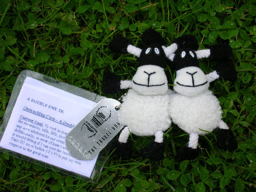 A Double Ewe - help him along if you can