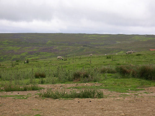 Rosedale Ironstone Railway near The Lion Inn